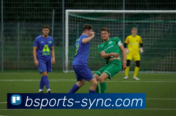 App Interface Preview